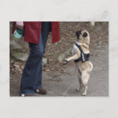 Womanizer Briefkaart (Voorkant)