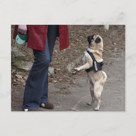 Womanizer Briefkaart (Voorkant)