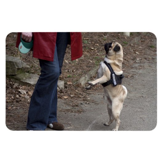 Womanizer Magneet (Horizontaal)