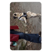 Womanizer Magneet (Verticaal)