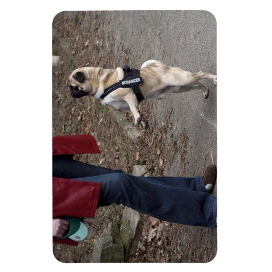 Womanizer Magneet (Verticaal)