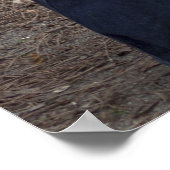 Womanizer Poster (Hoek)