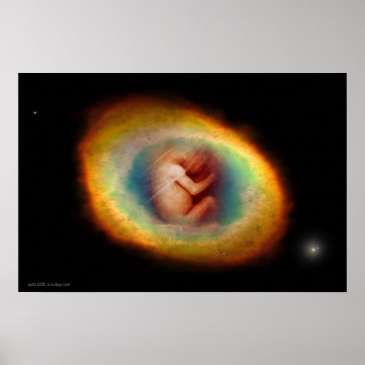 Womb van Gregory Gallo Poster (Voorkant)