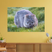 Wombat Animal Wildlife Tasmania Australia Green Canvas Afdruk (Insitu (Woonkamer))