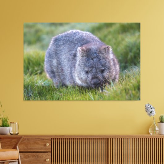 Wombat Animal Wildlife Tasmania Australia Green Canvas Afdruk (Insitu (Woonkamer))