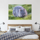 Wombat Animal Wildlife Tasmania Australia Green Canvas Afdruk (Insitu (Slaapkamer))