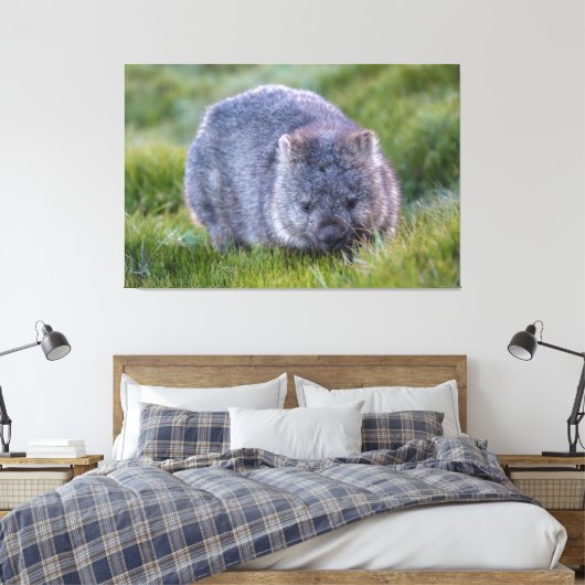 Wombat Animal Wildlife Tasmania Australia Green Canvas Afdruk (Insitu (Slaapkamer))