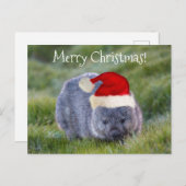 Wombat Australia Red Santa Hat Merry Kerstry Briefkaart (Voorkant / Achterkant)