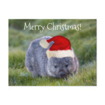 Wombat Australia Red Santa Hat Merry Kerstry