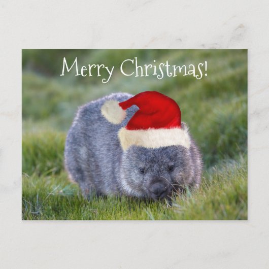 Wombat Australia Red Santa Hat Merry Kerstry Briefkaart (Voorkant)