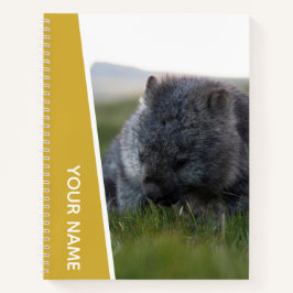 Wombat Australië Knuffig Dier Eet, Goud Notitieboek