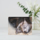 Wombat Briefkaart (Staand voorkant)