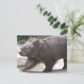 Wombat Briefkaart (Staand voorkant)