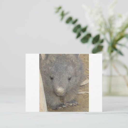 Wombat Briefkaart (Staand voorkant)