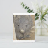 Wombat Briefkaart (Staand voorkant)