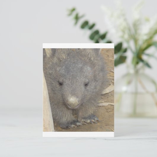 Wombat Briefkaart (Staand voorkant)