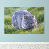 Wombat Dier Wilde dieren Tasmanië Australië Groen Canvas Afdruk (Insitu (Houten vloer))