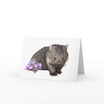 Wombat en Cooktown Orchid