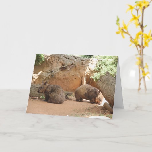 Wombat Heaven Kaart (Gele Bloem)