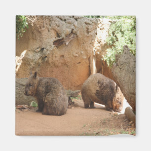 Wombat Heaven Magneet