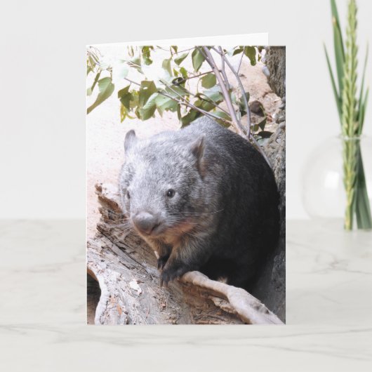Wombat Kaart (Voorkant)