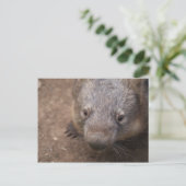 Wombat Kiss Briefkaart (Staand voorkant)