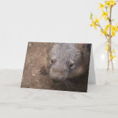 Wombat Kiss Kaart (Gele Bloem)