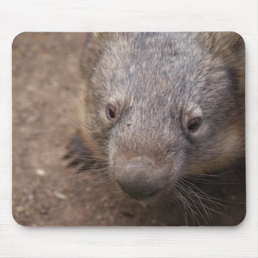 Wombat Kiss Muismat (Voorkant)