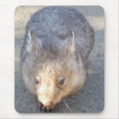 Wombat Mousepad Muismat (Voorkant)