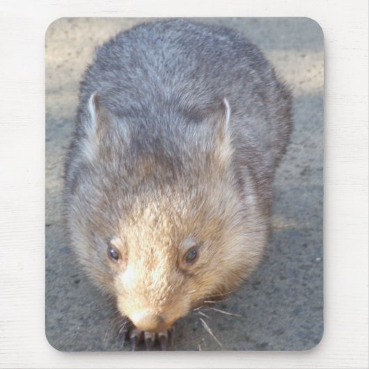 Wombat Mousepad Muismat (Voorkant)