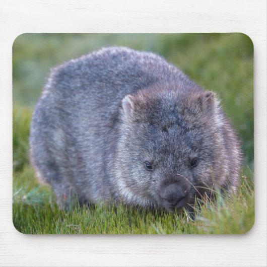 Wombat Muismat (Voorkant)