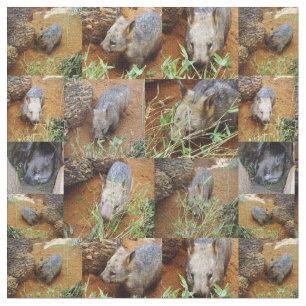 Wombat Photo Collage Stof