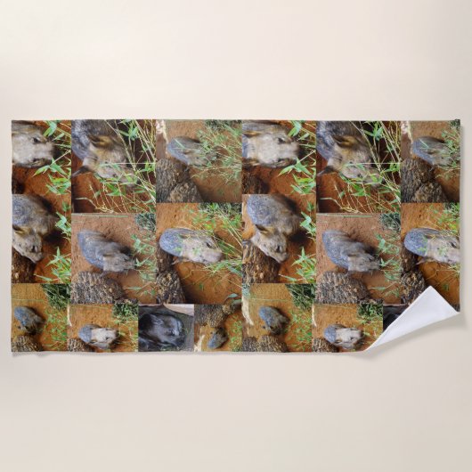 Wombat Photo Collage Strandlaken (Voorkant)
