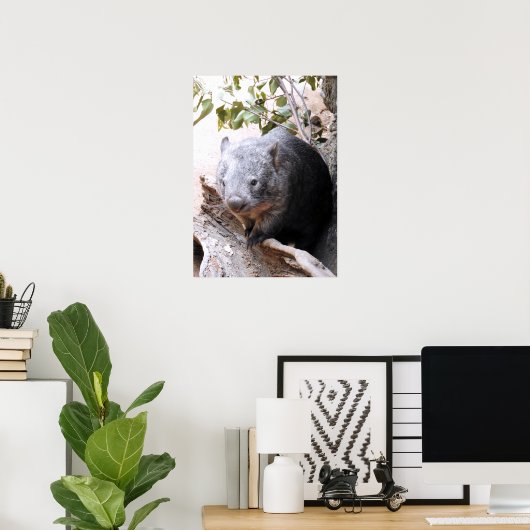 Wombat Poster (Thuiskantoor)