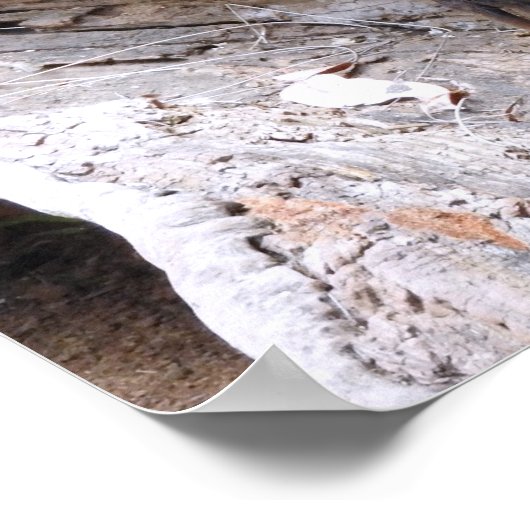 Wombat Poster (Hoek)