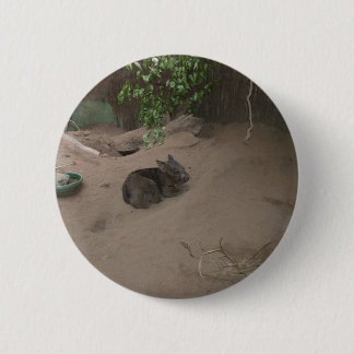 Wombat Ronde Button 5,7 Cm