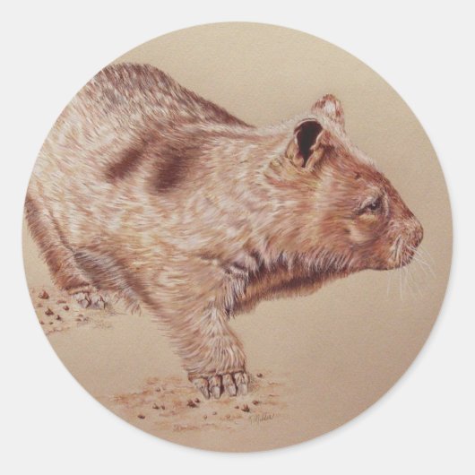 Wombat Ronde Sticker (Voorkant)