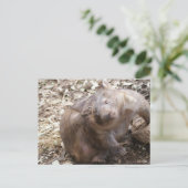 Wombat Scratch Briefkaart (Staand voorkant)