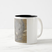 Wombat Tweekleurige Koffiemok (Voorkant rechts)