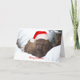 Wombat vrolijke Kerstmis van neer onder Feestdagen Kaart