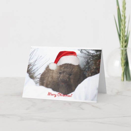 Wombat vrolijke Kerstmis van neer onder Feestdagen Kaart (Voorkant)