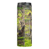 Wombats en kangoeroes, thermale trommel thermosbeker (Achterkant)