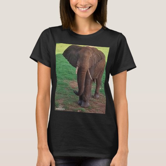 Women’s Basic T-Shirt – African Elephant Portrait (Voorkant)