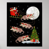 Womens Armadillo Santa Sleigh Flying Funny Magical Poster (Voorkant)