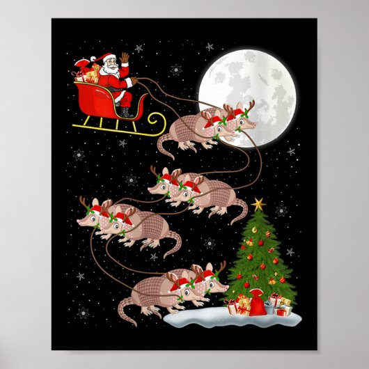 Womens Armadillo Santa Sleigh Flying Funny Magical Poster (Voorkant)