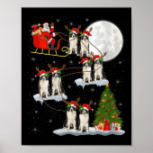 Womens Border Collie Dog Santa Sleigh Flying Funny Poster (Voorkant)