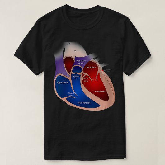 Womens Heart Anatomy VNeck T-shirt (Design voorkant)