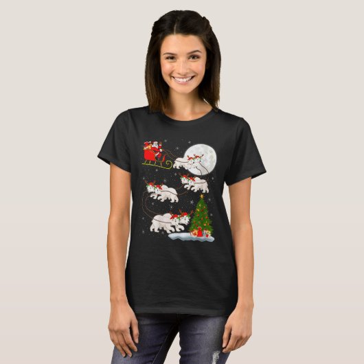 Womens Lar Bear Santa Sleigh Flying Funny Magical  T-shirt (Voorkant volledig)