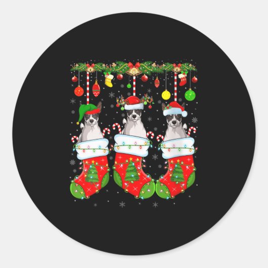 Womens Russell Terrier Dog In Christmas Socks Funn Ronde Sticker (Voorkant)