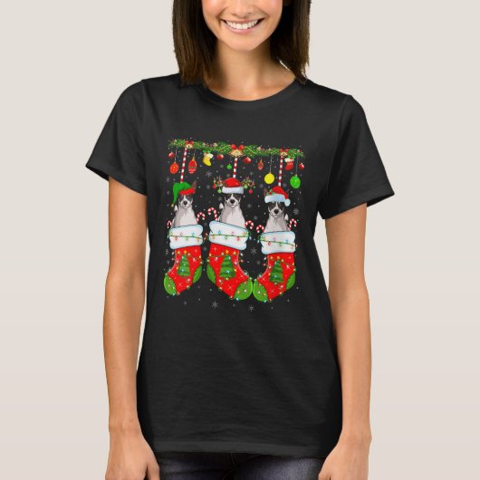 Womens Russell Terrier Dog In Christmas Socks Funn T-shirt (Voorkant)